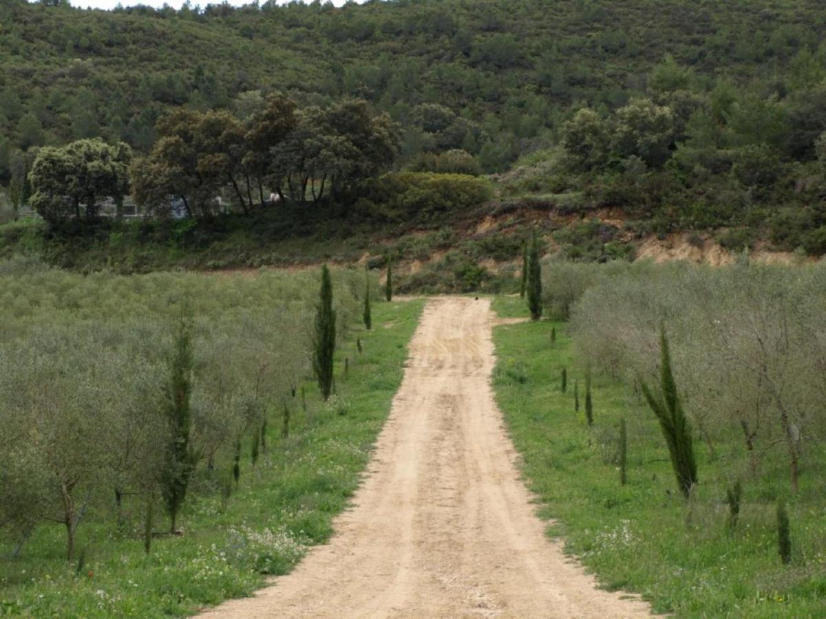 Finca Heredad La Boquilla Enguera Ngoại thất bức ảnh