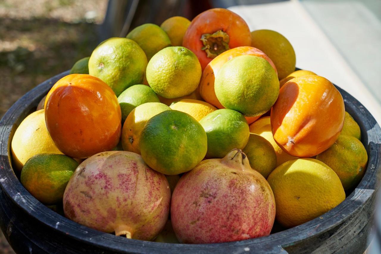Finca Heredad La Boquilla Enguera Ngoại thất bức ảnh